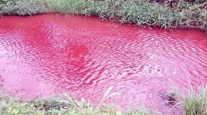 River in Koforidua turns blood red