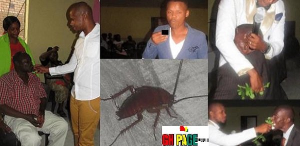 South Africa: Pastor Feeds Congregation With Cockroach And Poisonous Flower