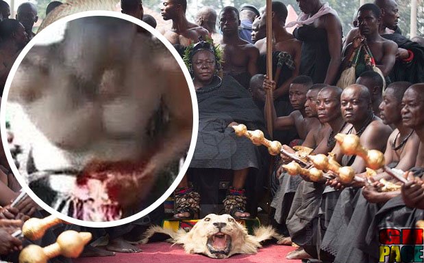 Video: Togbe Kedinakpo Cuts his stomach and Heal it at once in a magical display at Asantehamaa's funeral