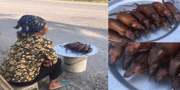 Photos Of A Woman Selling Roasted Rats By The Roadside surfaces Online