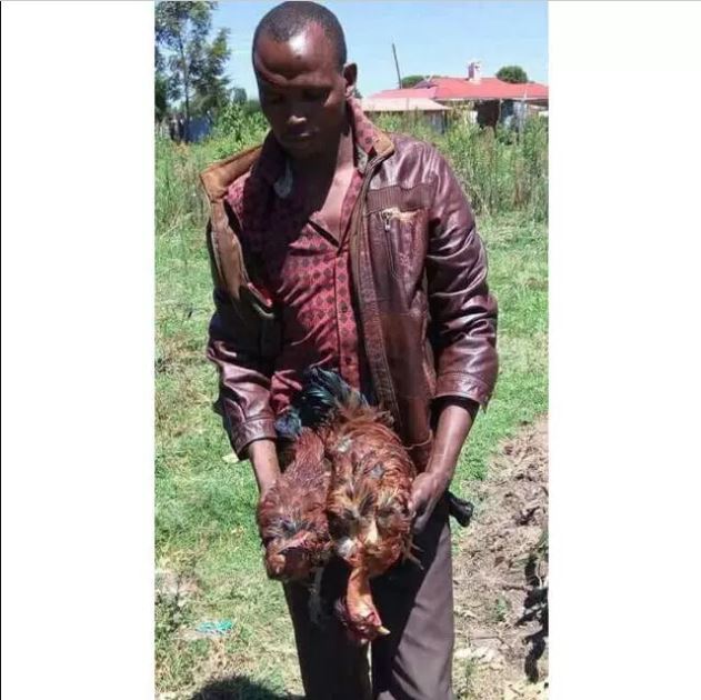 Man Rapes Two Of His Neighbor’s Hens To Death