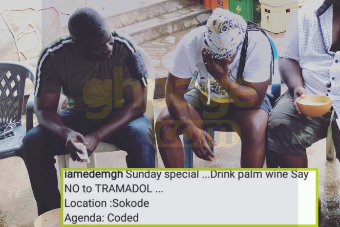 Say no to tramadol and drink palm wine - Edem