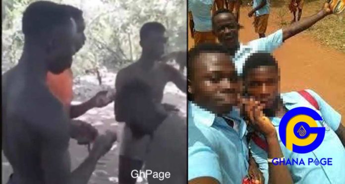 Video: 3 Students of Akumadan SHS forced to chew raw chicken they stole from Akumadan town