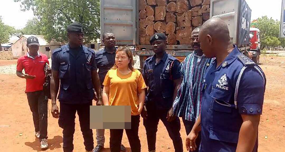 Chinese woman arrested with 4 trucks of rosewood in Tamale - GhPage