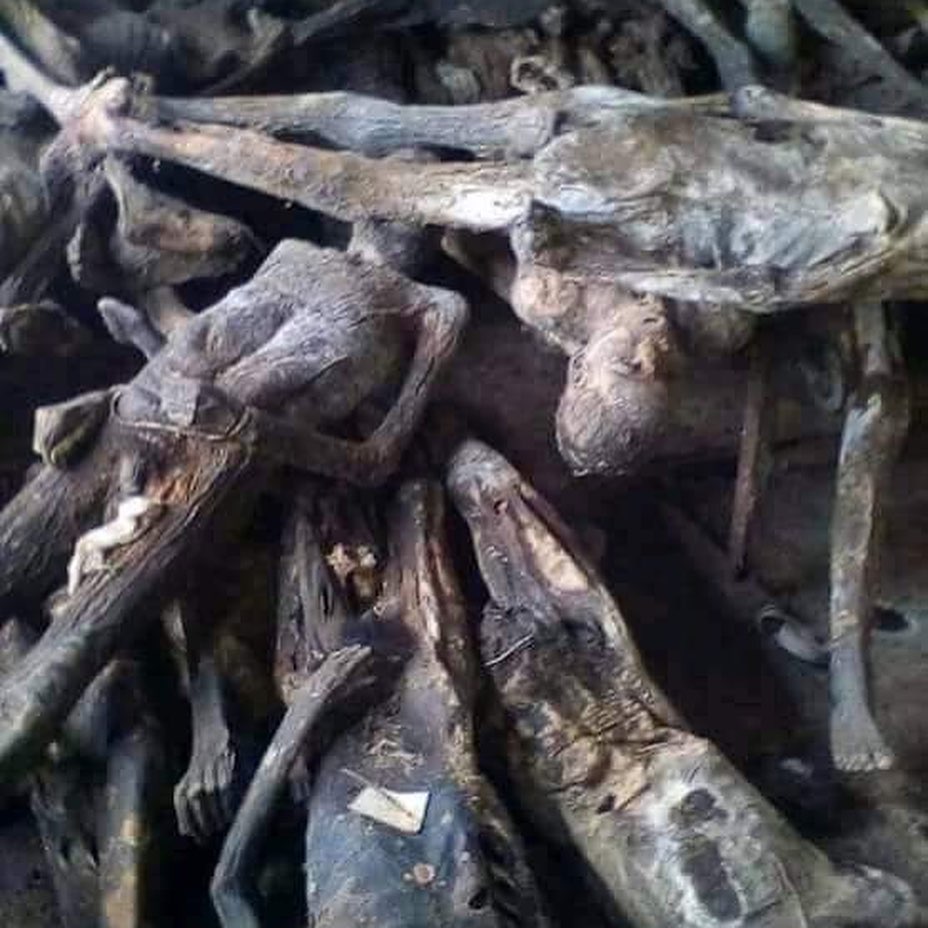 Police raid Togolese juju man's house and find over 5000 dead bodies and skeletons