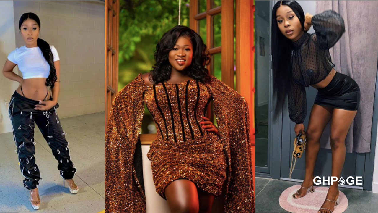 Efia Odo storms Sista Afia's birthday party despite her warning