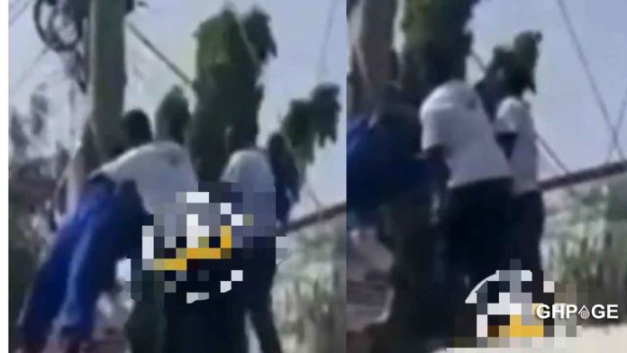 Man electrocuted to death after climbing an electric pole to fix an NPP flag (video)