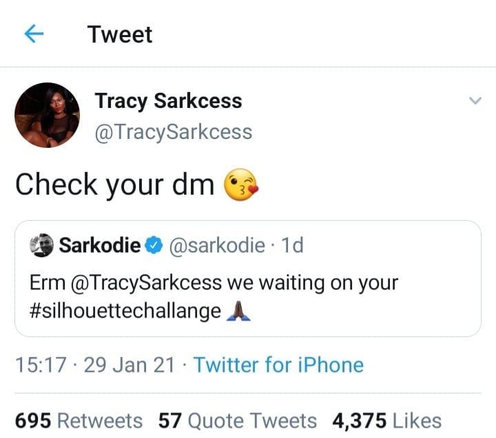 Sarkodie Tracy Sarkcess silhouette challenge