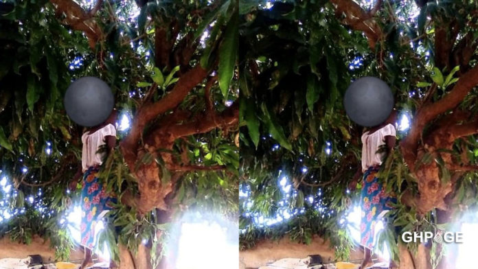 Bimbilla: Lady commits suicide after days of hiding from the public