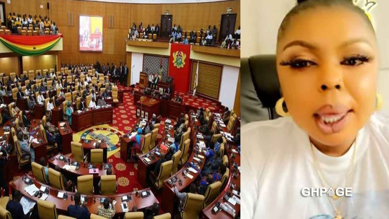 Review and amend the constitution for us-Afia Schwar calls on Ghanaian Lawmakers