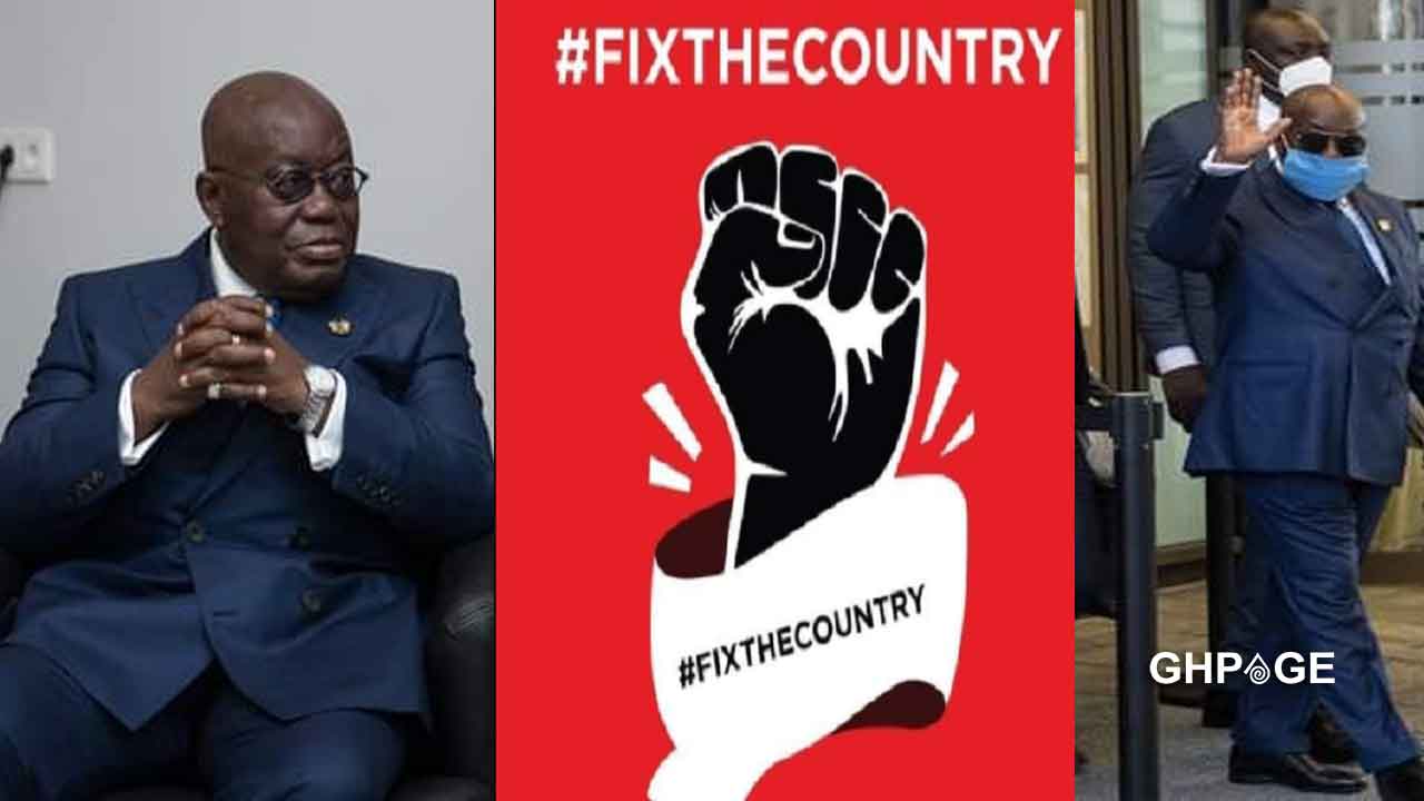 FixTheCountry, we want to come home-Ghanaians in Germany ‘clash’ with Akufo-Addo