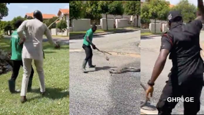 Policeman tries to kill a snake with stone while civilian fires gun