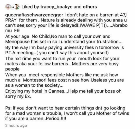 "I will never hate a barren woman" - Afia Schwar replies Delay's insults - GhPage