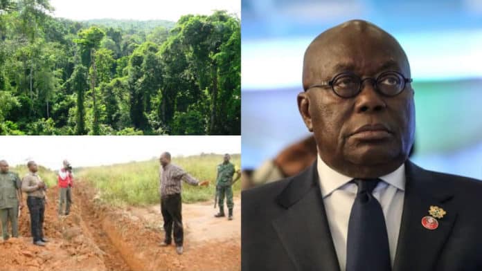 Has gov't sold the Achimota Forest Reserve? What you must know