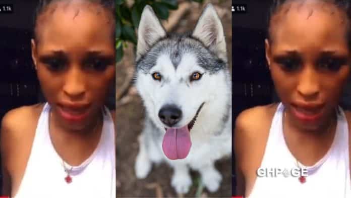 Lady who was filmed enjoying herself with a dog declared wanted by the police