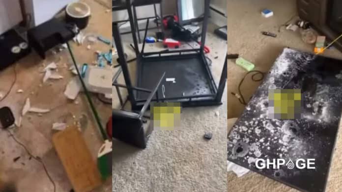 lady destroys boyfriends apartment