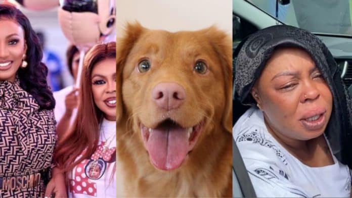 Afia Schwar reacts to allegations of sleeping with a dog