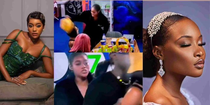 #BBNaija: Beauty and Ilebaye fight after Saturday night party