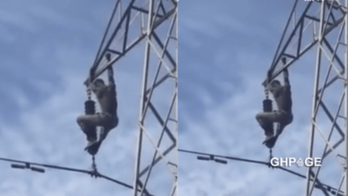 Man burns, falls and dies after climbing a high-tension pole