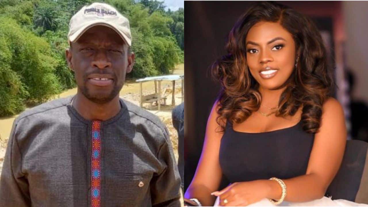Minister sues Nana Aba Anamoah, EIB for defamation over galamsey cash report
