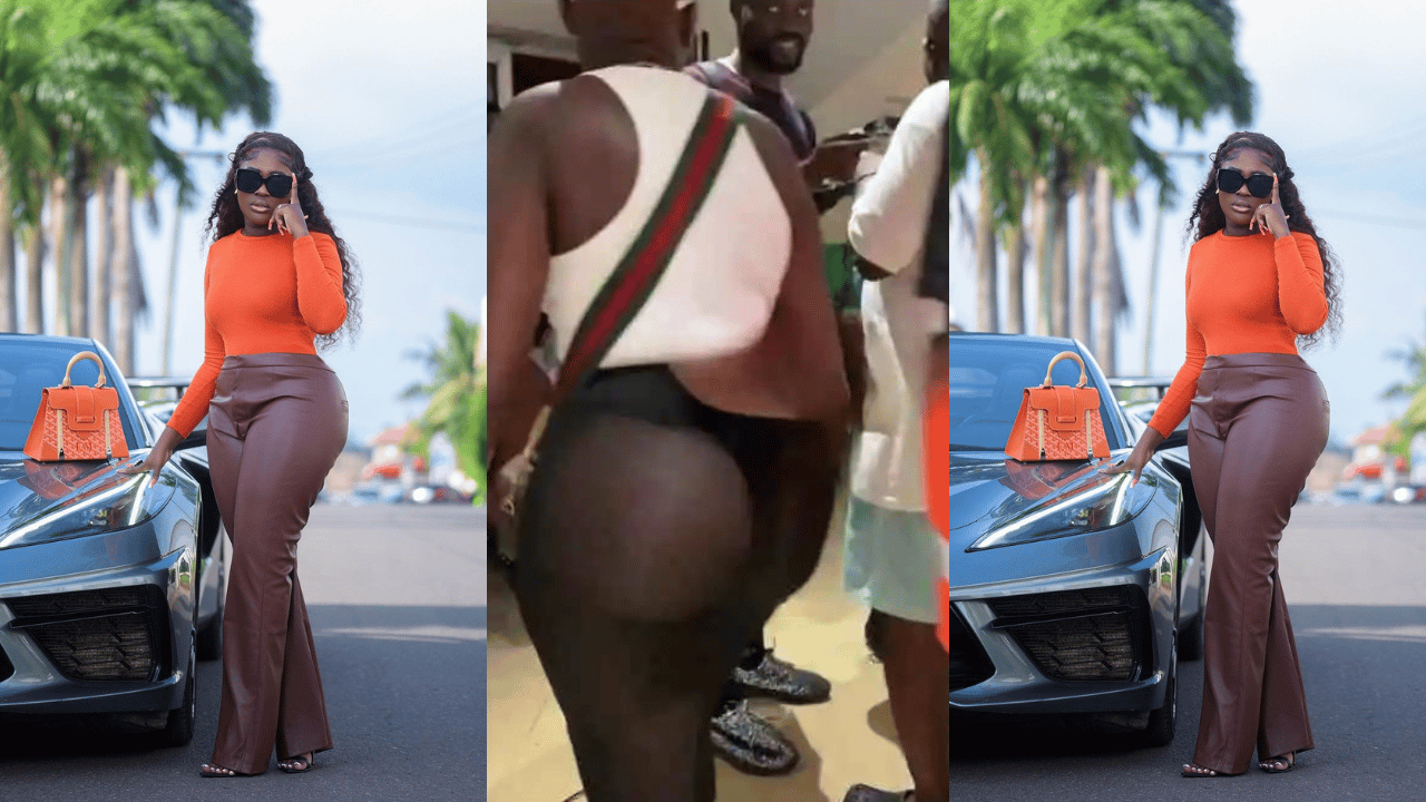 Ghanaians condemn Fella Makafui for showing her butts at Wizkid's concert