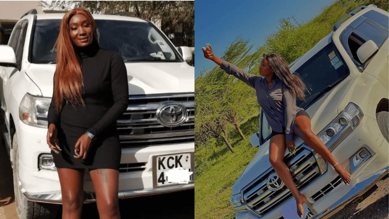 Popular IG big girl sentenced to 4 years imprisonment for stealing her sugar daddy's Land Cruiser