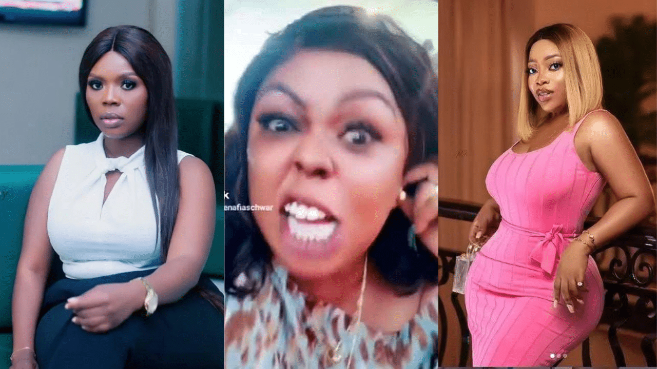 Afia Schwar curses and insults Delay for interviewing Moesha