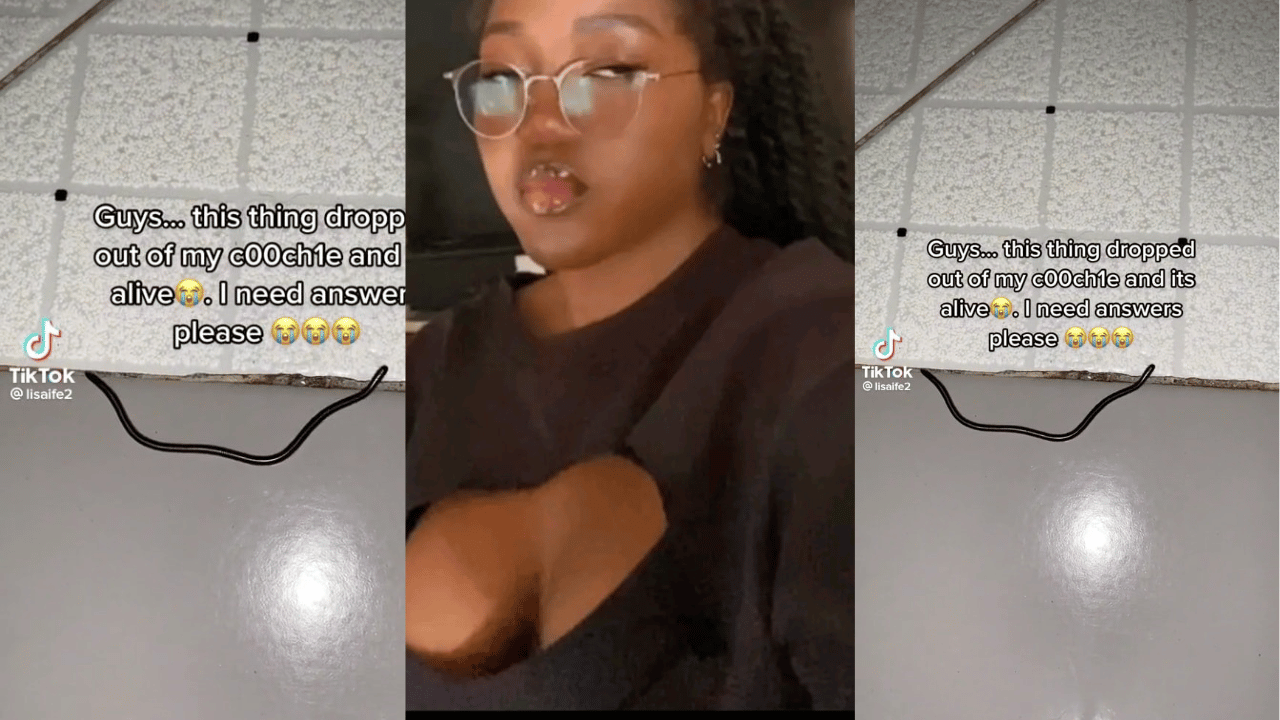 Baby snake comes from lady's vayjayjay while on Tiktok live