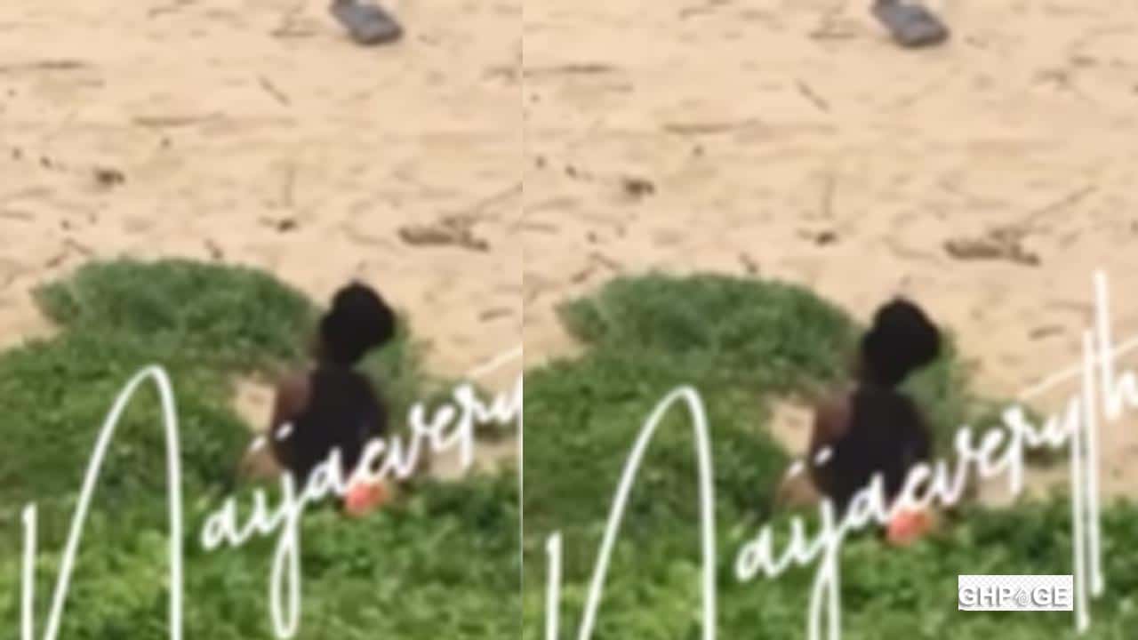 Horny boyfriend and girlfriend captured having sex at the beachside in broad daylight VIDEO