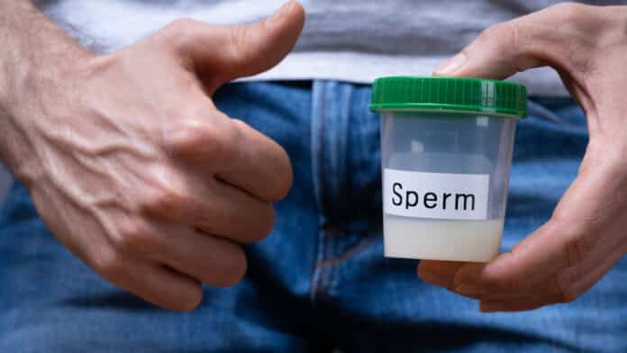 sperm donor