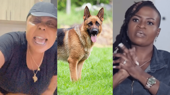 Afia Schwar once slept with a dog for money - Ayisha Modi alleges