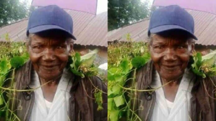 91-year old man who left home in search of greener pastures 50 years ago returns with only a walking stick