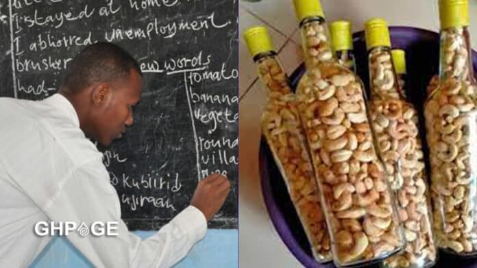 teacher in cashew nut business