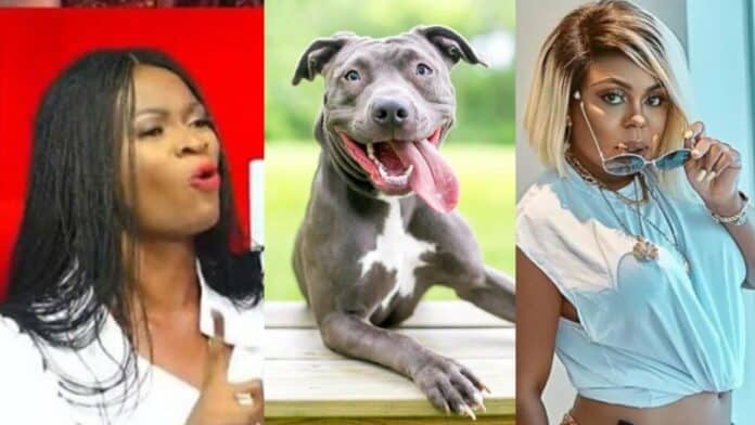 Ayisha Modi reports how Afia Schwar slept with a dog for money