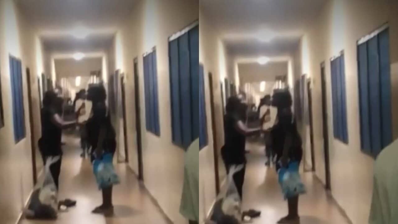Video Two legon female students fight dirty over a guy on campus