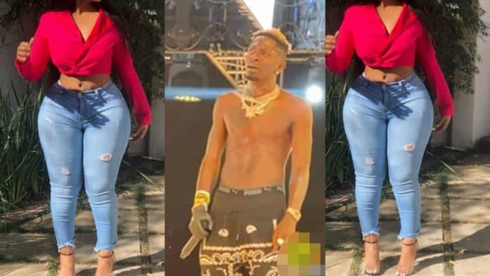 Shatta Wale exposed for sleeping with his sister; Deep-dirty secrets drop (Video)