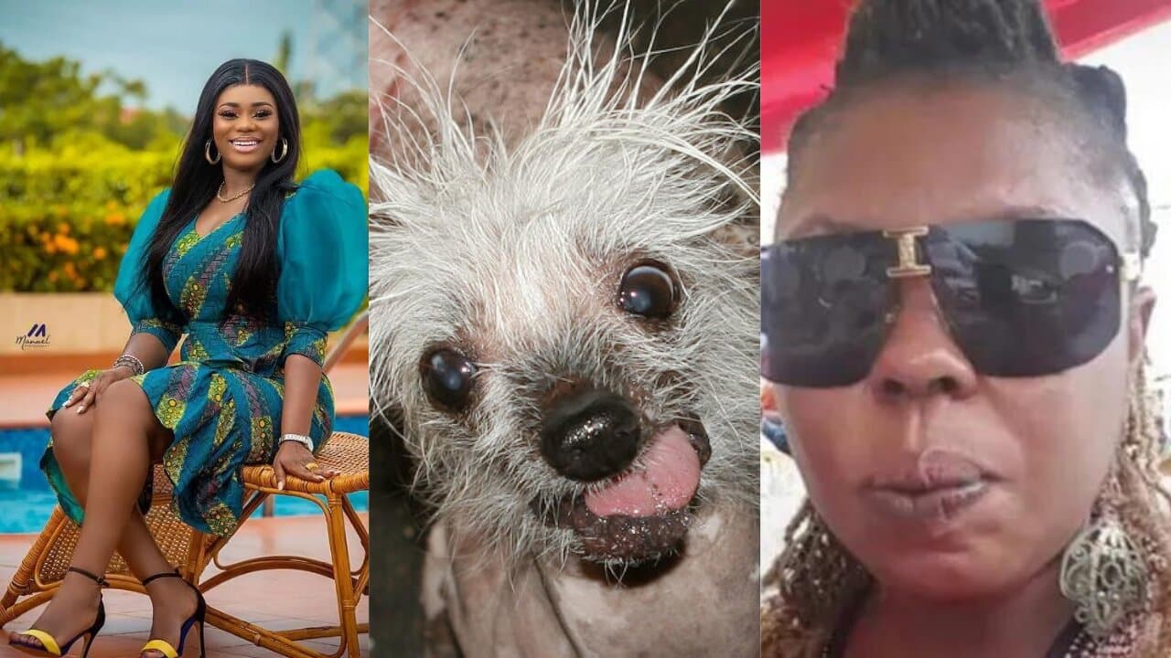 Akua GMB goes deep into how Afia Schwar allegedly slept with a dog for $5000 plus other dirty secrets