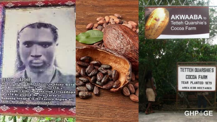 Grid of Tetteh Quarshie and Cocoa