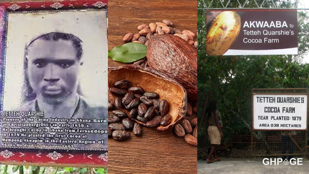 Tetteh Quarshie never swallowed the cocoa bean he brought to Ghana