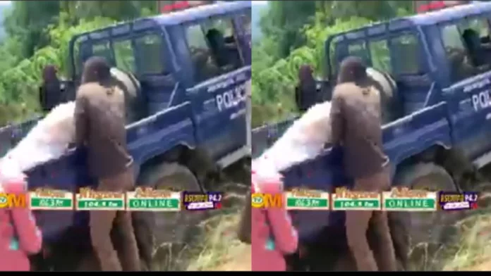 Bodies of two missing girls found on farm