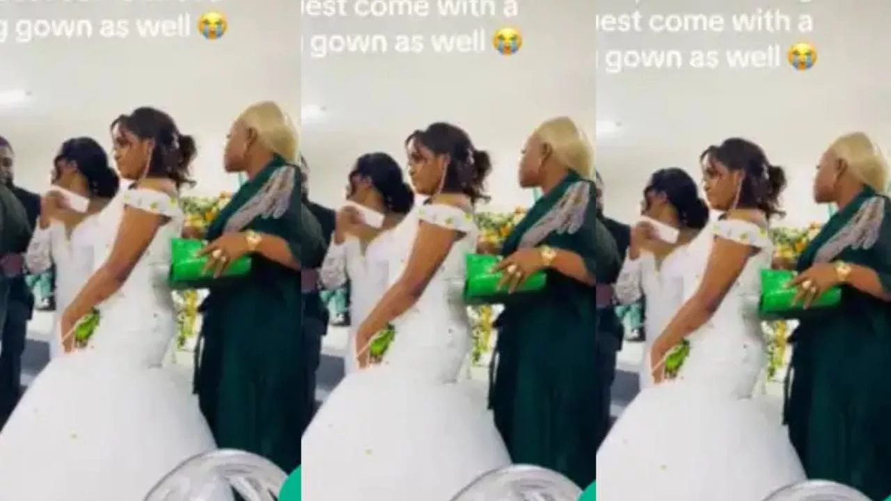 Lady in a wedding gown Lady in a wedding gown