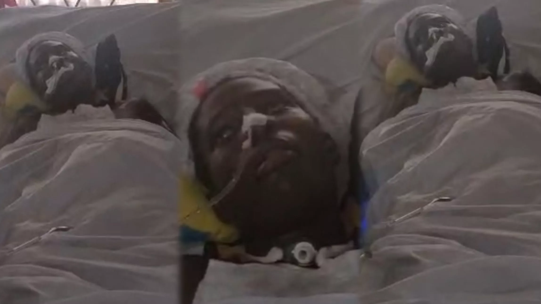 Video of Sandra Boateng, a victim of the Baba Yara Sports Stadium Stampede battling for her life in her house trends as government allegedly neglects her