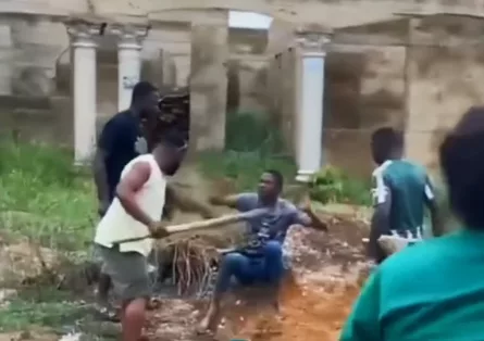 iPhone Thief iPhone Thief