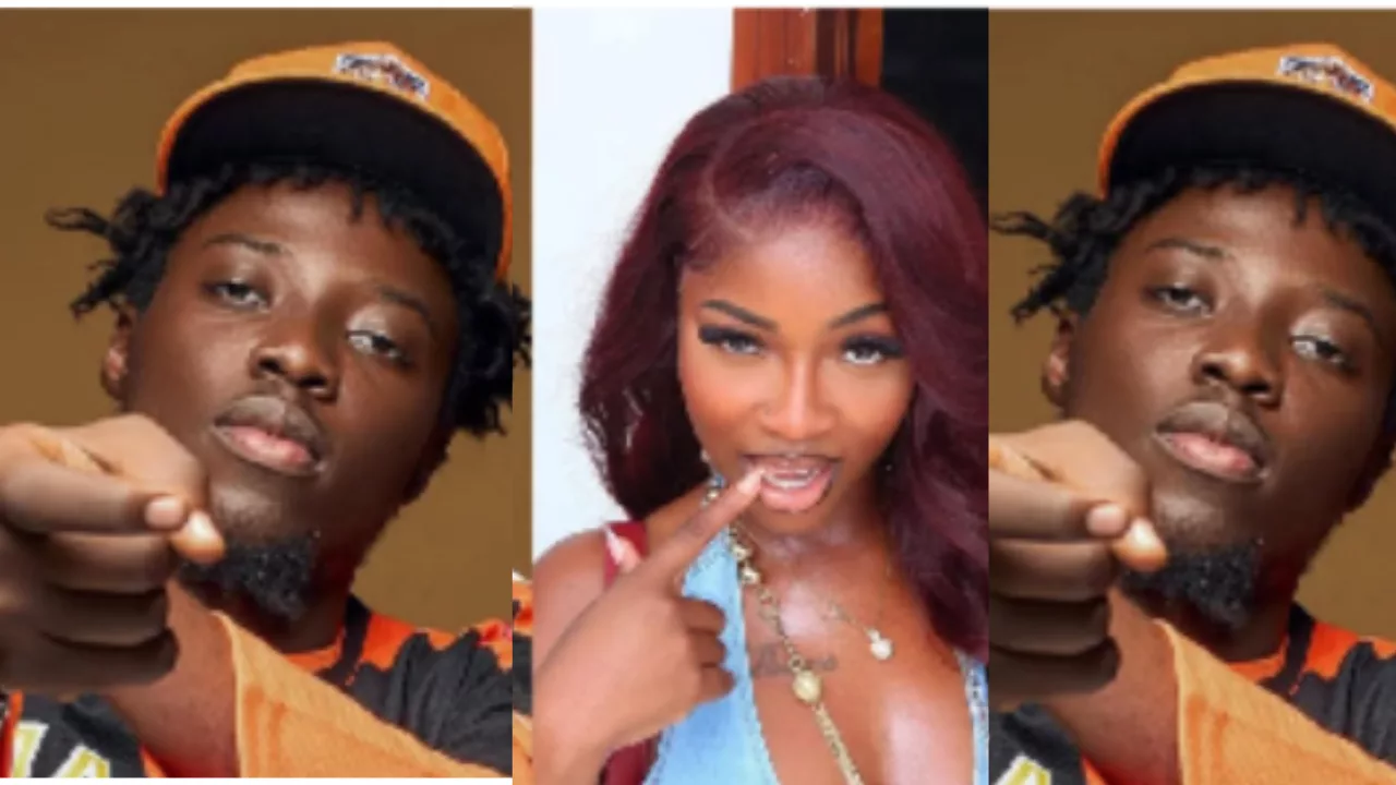Adwoa Tee finally reveals why he broke up with Paradise